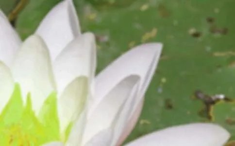 夏至经典语录