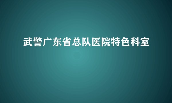 武警广东省总队医院特色科室