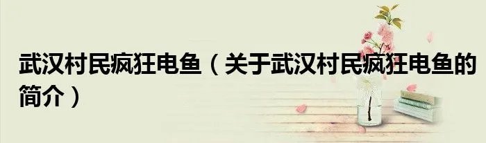 武汉村民疯狂电鱼（关于武汉村民疯狂电鱼的简介）