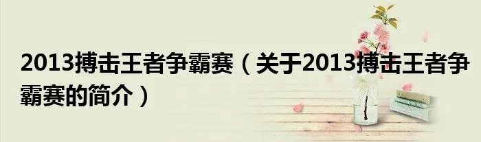 2013搏击王者争霸赛（关于2013搏击王者争霸赛的简介）
