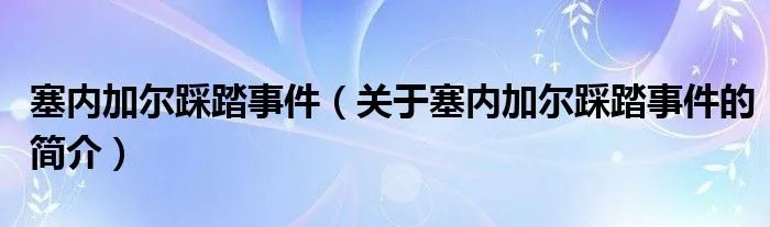 塞内加尔踩踏事件（关于塞内加尔踩踏事件的简介）