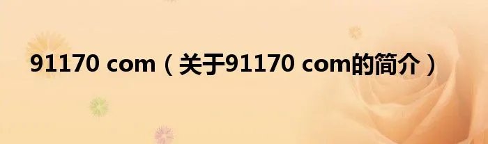 91170 com（关于91170 com的简介）