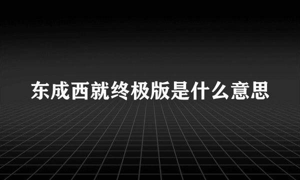 东成西就终极版是什么意思