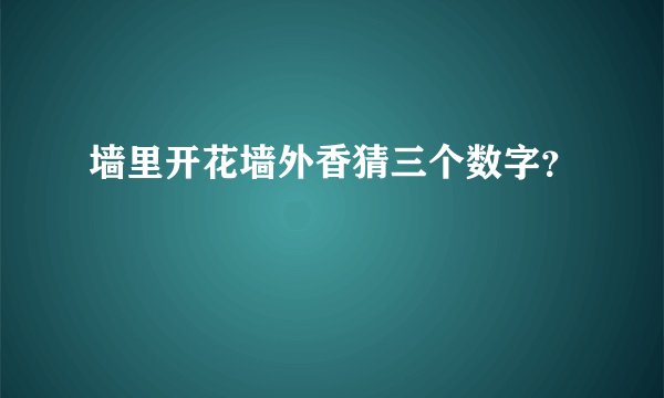墙里开花墙外香猜三个数字？