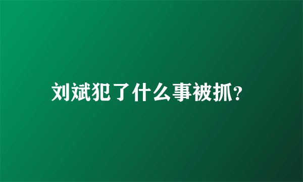 刘斌犯了什么事被抓？