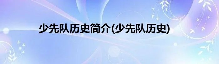少先队历史简介(少先队历史)