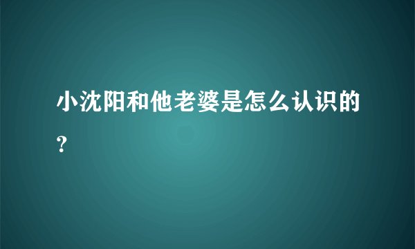 小沈阳和他老婆是怎么认识的？