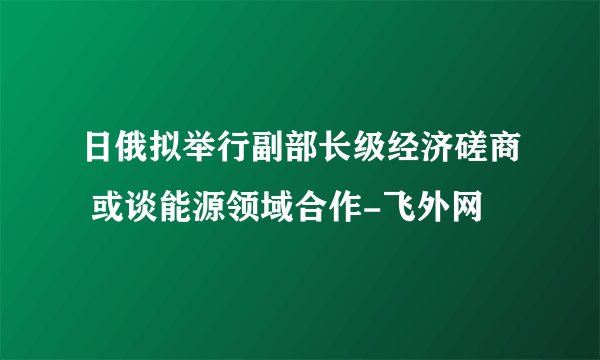日俄拟举行副部长级经济磋商 或谈能源领域合作-飞外网