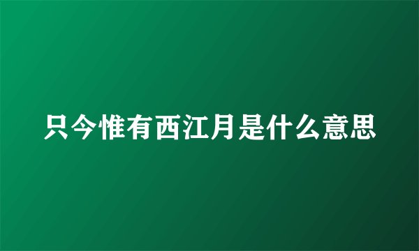 只今惟有西江月是什么意思