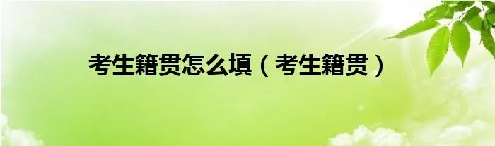 考生籍贯怎么填（考生籍贯）