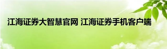 江海证券大智慧官网 江海证券手机客户端