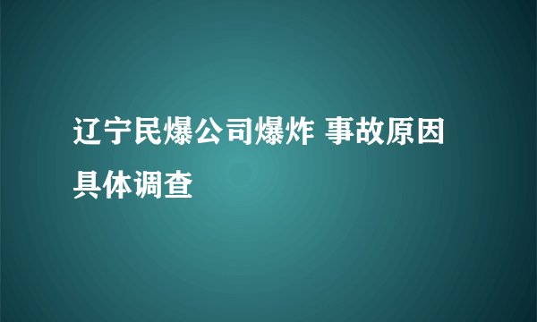 辽宁民爆公司爆炸 事故原因具体调查