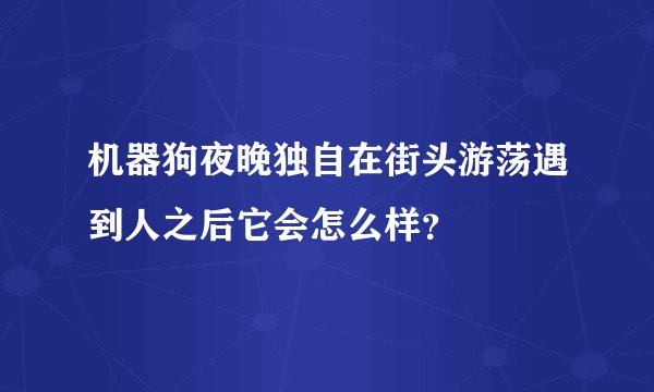 机器狗夜晚独自在街头游荡遇到人之后它会怎么样?