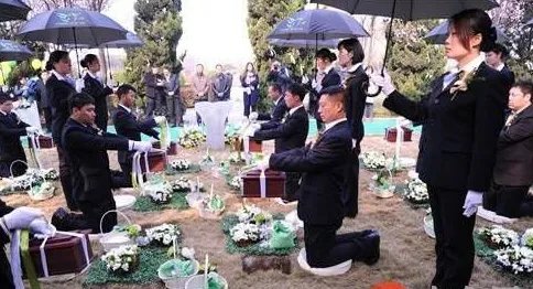 骨灰免费自然葬是怎么回事？