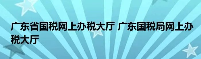 广东省国税网上办税大厅 广东国税局网上办税大厅