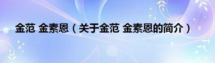 金范 金素恩（关于金范 金素恩的简介）