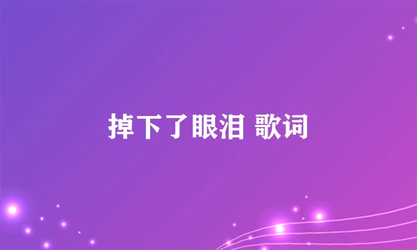 掉下了眼泪 歌词
