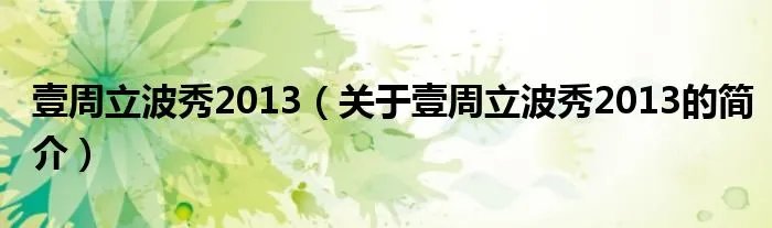 壹周立波秀2013（关于壹周立波秀2013的简介）