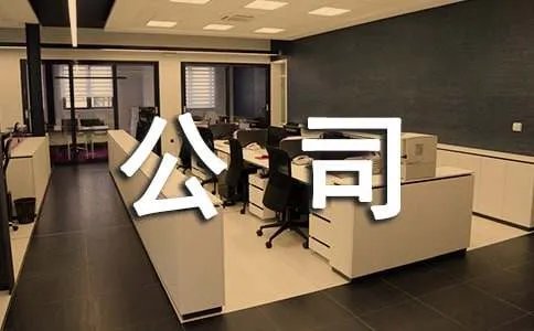 公司组织活动方案
