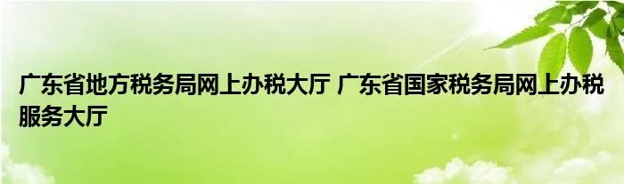 广东省地方税务局网上办税大厅 广东省国家税务局网上办税服务大厅