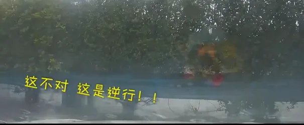 高速逆行引连环撞怎么处罚的？