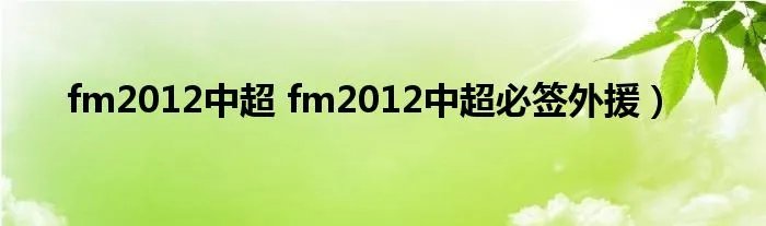 fm2012中超 fm2012中超必签外援）