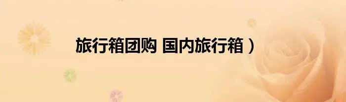 旅行箱团购 国内旅行箱）
