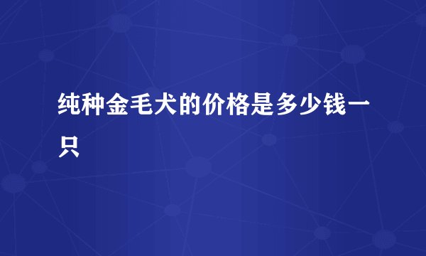 纯种金毛犬的价格是多少钱一只