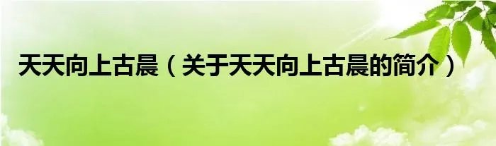天天向上古晨（关于天天向上古晨的简介）