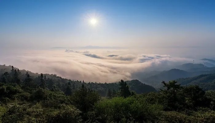 缅川是在哪里 缅川是在什么地方
