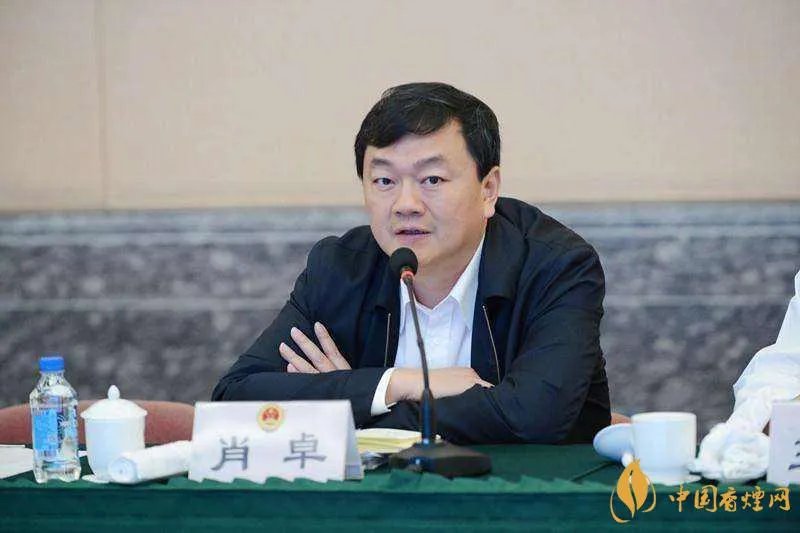 最高检检务督察局原局长肖卓被查 肖卓个人简历资料