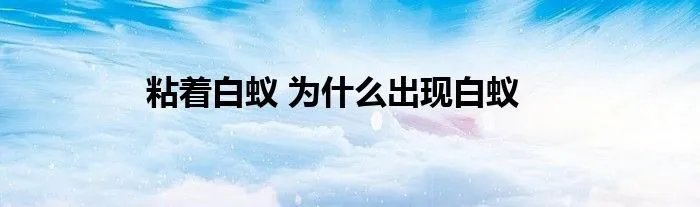 粘着白蚁 为什么出现白蚁