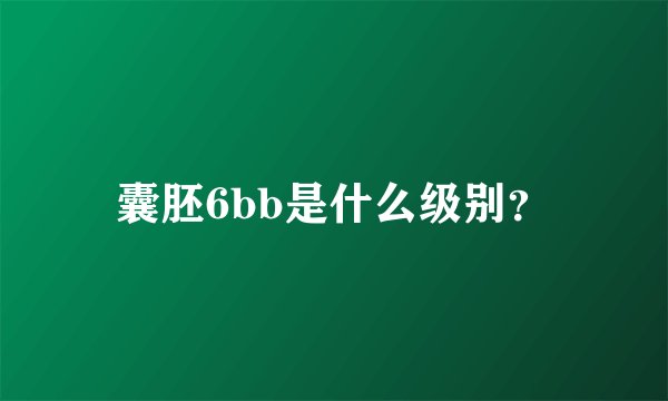 囊胚6bb是什么级别？
