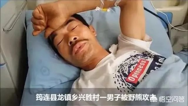 四川江油黑熊咬死3位村民,如何看待黑熊频频伤人事件?
