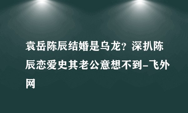 袁岳陈辰结婚是乌龙？深扒陈辰恋爱史其老公意想不到-飞外网