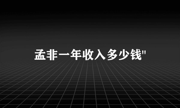 孟非一年收入多少钱