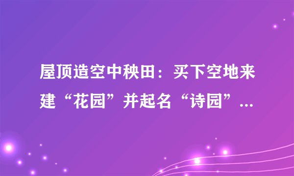 屋顶造空中秧田：买下空地来建“花园”并起名“诗园”-飞外电脑网