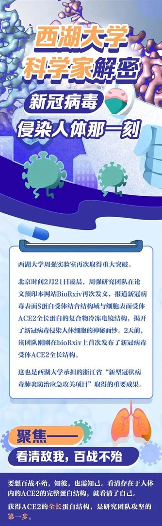 浙江第一批疫苗已产生抗体！揭秘新冠病毒侵染人体那一瞬间