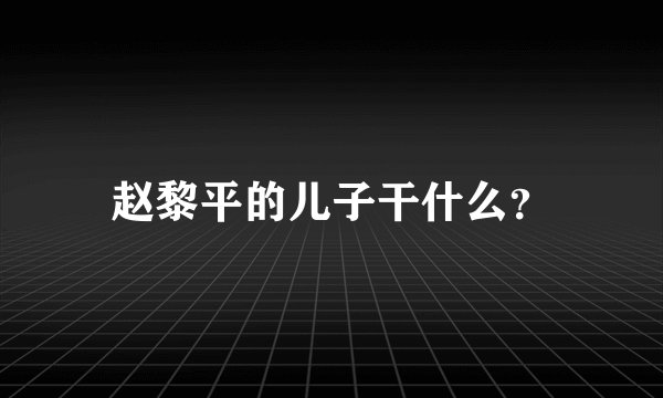 赵黎平的儿子干什么？