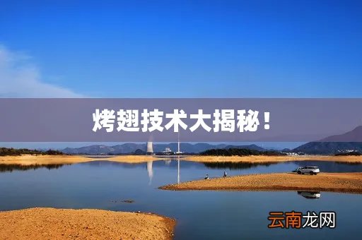 烤翅技术大揭秘！