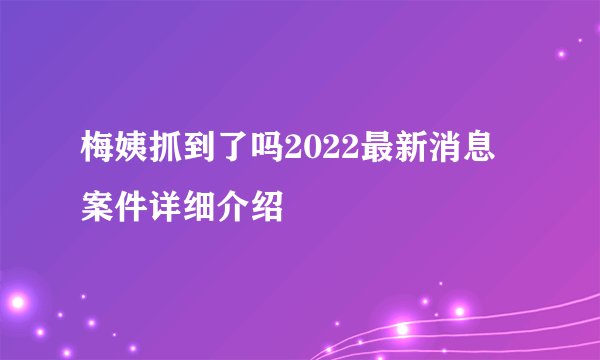 梅姨抓到了吗2022最新消息 案件详细介绍