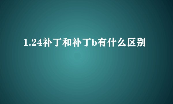 1.24补丁和补丁b有什么区别
