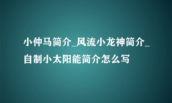 小仲马简介_风流小龙神简介_自制小太阳能简介怎么写