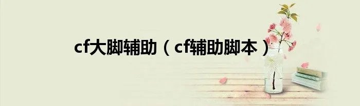 cf大脚辅助（cf辅助脚本）