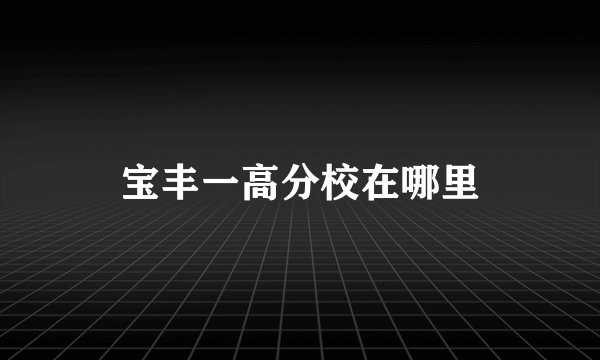 宝丰一高分校在哪里