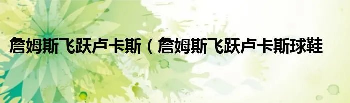 詹姆斯飞跃卢卡斯（詹姆斯飞跃卢卡斯球鞋