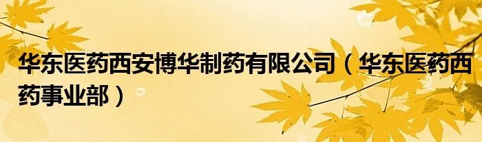 华东医药西安博华制药有限公司（华东医药西药事业部）