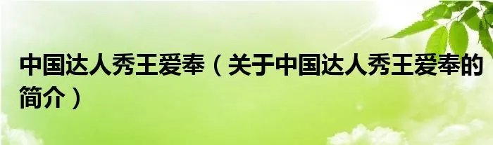 中国达人秀王爱奉（关于中国达人秀王爱奉的简介）