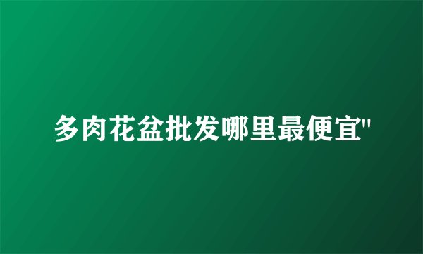 多肉花盆批发哪里最便宜