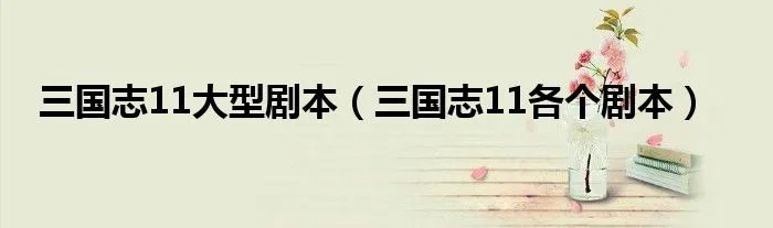 三国志11大型剧本（三国志11各个剧本）